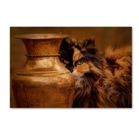 Trademark Fine Art